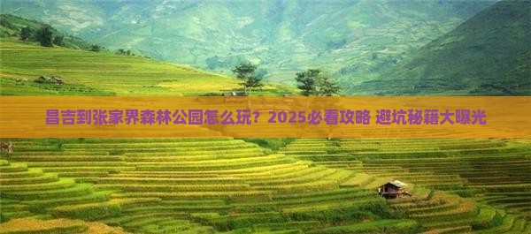 昌吉到张家界森林公园旅行社