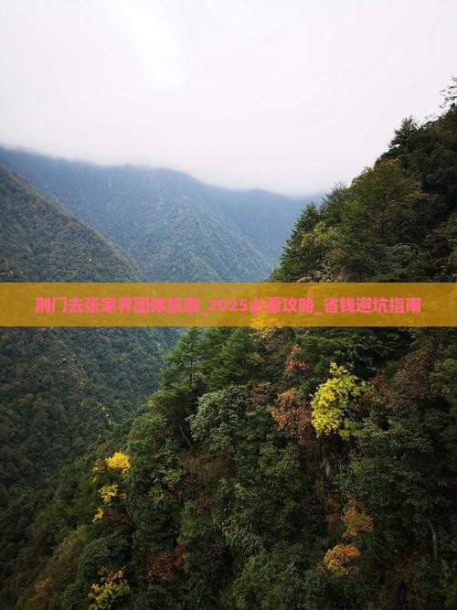 荆门去张家界团体旅游