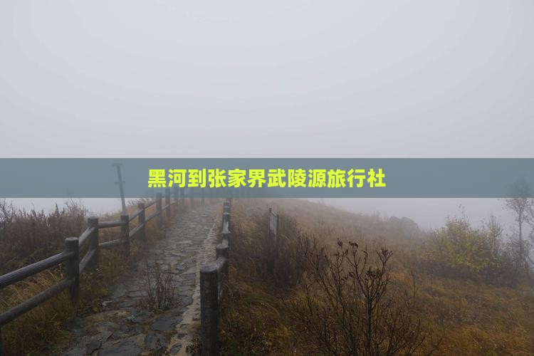 黑河到张家界武陵源旅行社
