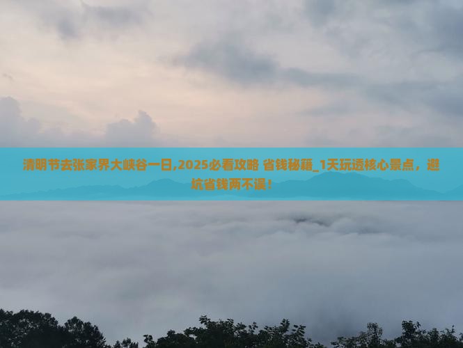 清明节去张家界大峡谷一日