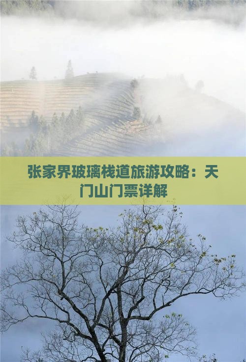 黔南到张家界玻璃栈道门票