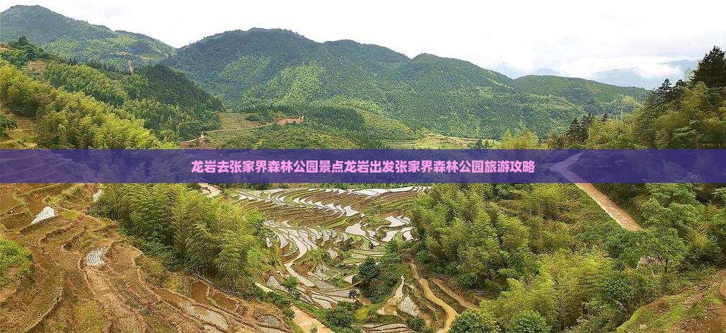 龙岩去张家界森林公园景点