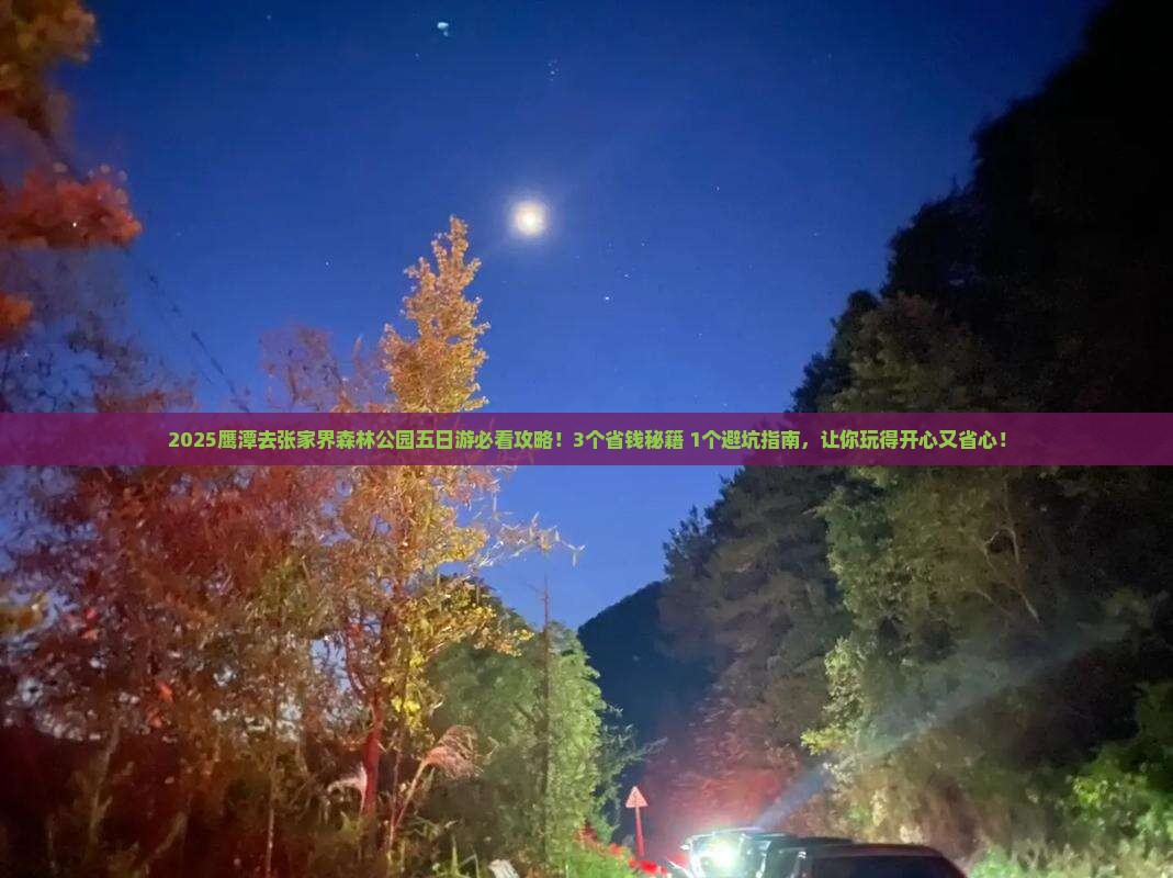 鹰潭去张家界森林公园五日游