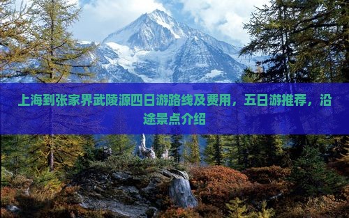 上海到张家界武陵源四日游