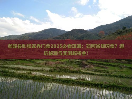 鄢陵县到张家界门票