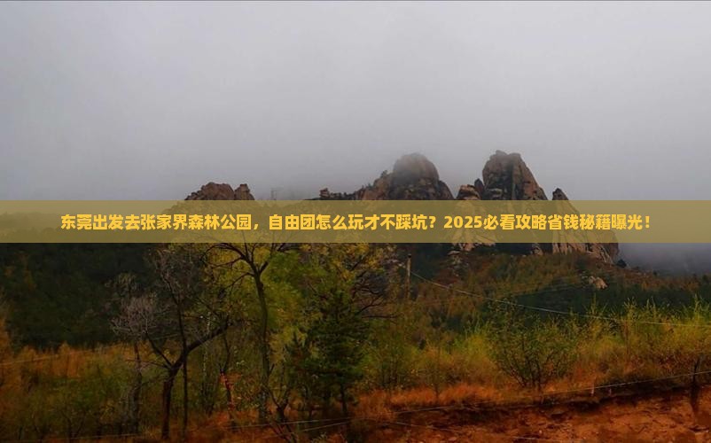 东莞去张家界森林公园自由团