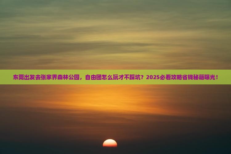 东莞去张家界森林公园自由团
