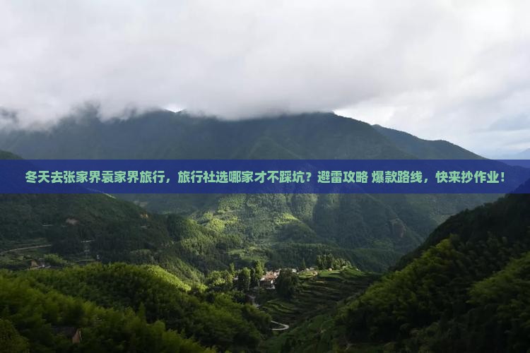 冬天到张家界袁家界旅行社
