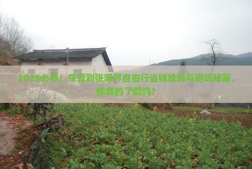 东营到张家界自由行