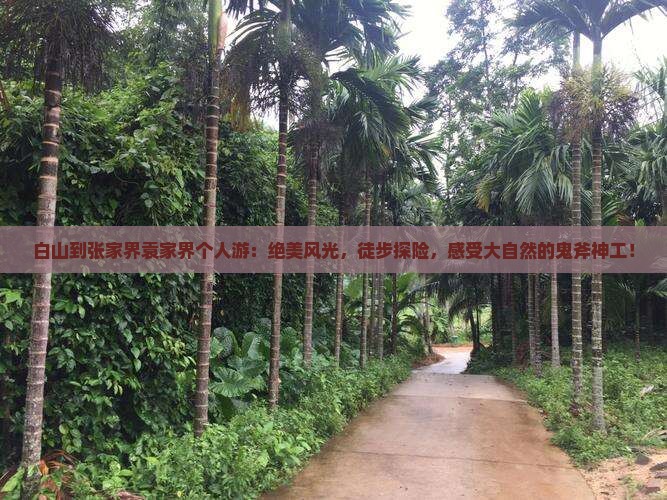 白山到张家界袁家界个人游