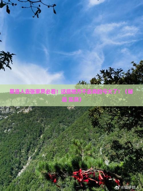 果洛去张家界森林公园必去地