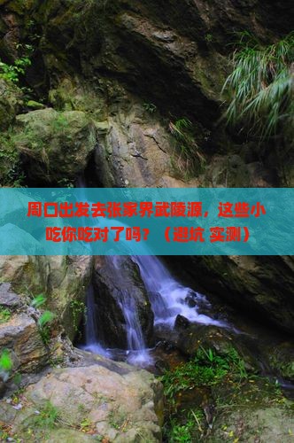 周口到张家界武陵源旅游小吃