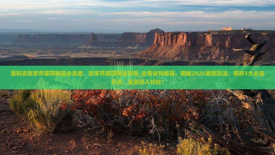 垦利去张家界玻璃栈道必去地