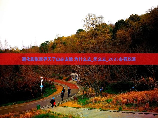 通化到张家界天子山必去地