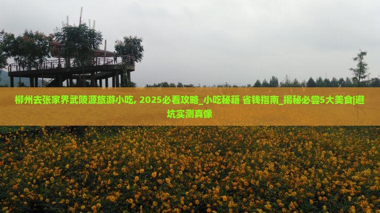 柳州去张家界武陵源旅游小吃