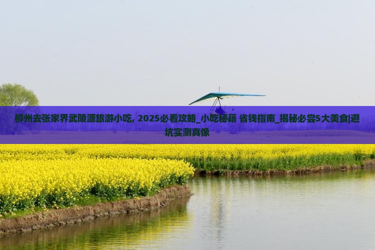 柳州去张家界武陵源旅游小吃