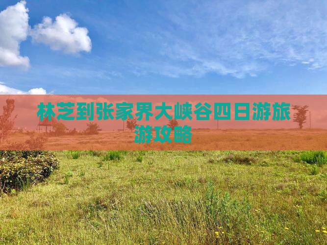 林芝到张家界大峡谷四日游