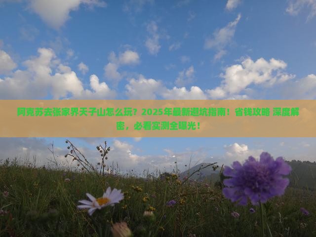 阿克苏去张家界天子山旅行社