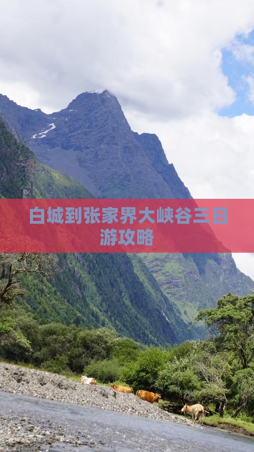白城到张家界大峡谷三日游