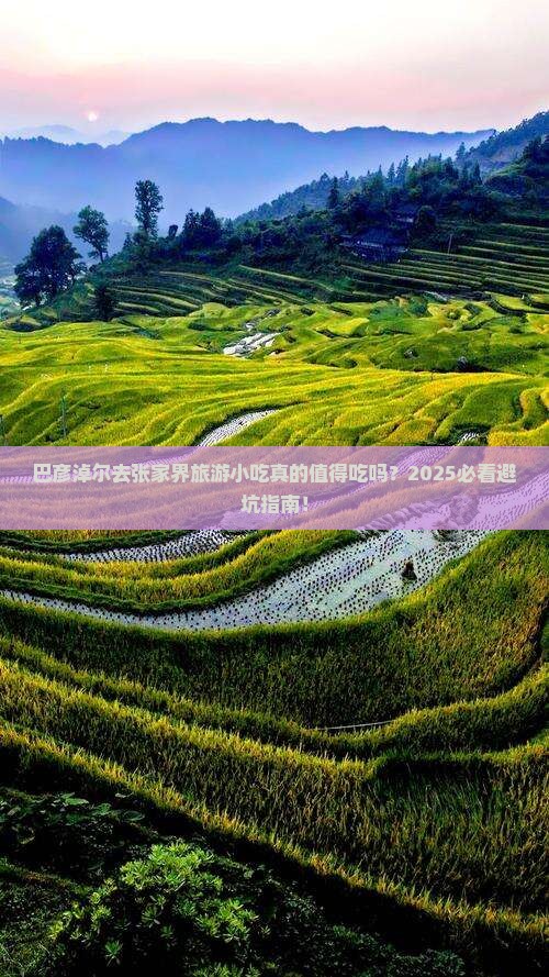 巴彦淖尔去张家界旅游小吃