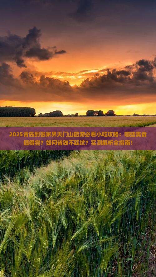青岛到张家界天门山旅游小吃