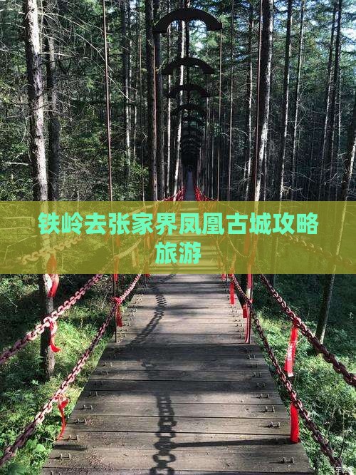 铁岭去张家界凤凰古城个人游