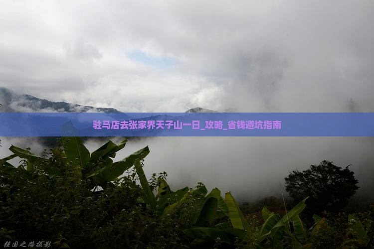 驻马店去张家界天子山一日 驻马店去张家界天子山一日
