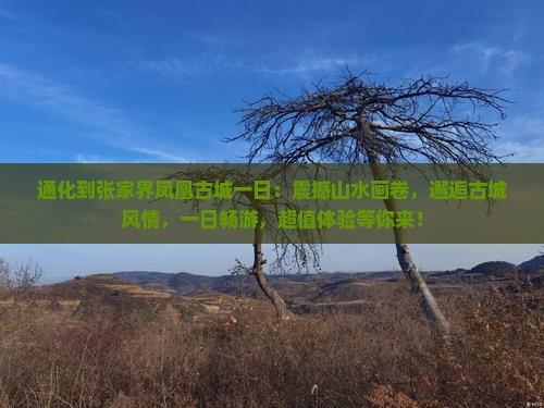 通化到张家界凤凰古城一日