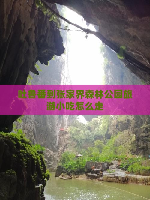 吐鲁番到张家界森林公园旅游小吃
