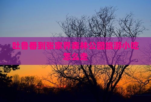 吐鲁番到张家界森林公园旅游小吃