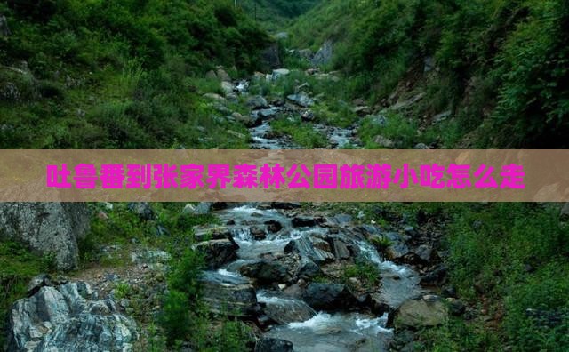 吐鲁番到张家界森林公园旅游小吃