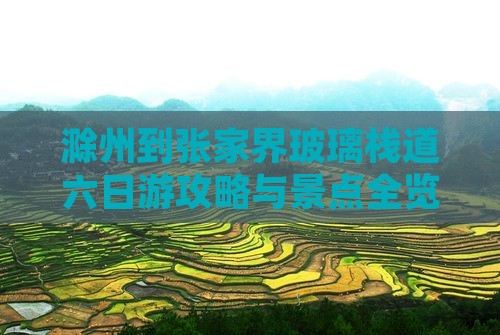 滁州到张家界玻璃栈道六日游
