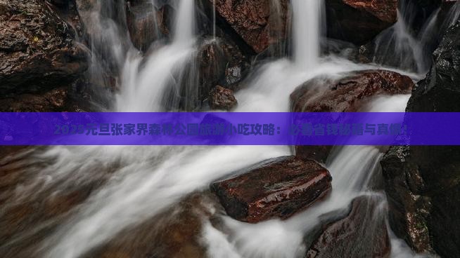 元旦到张家界森林公园旅游小吃