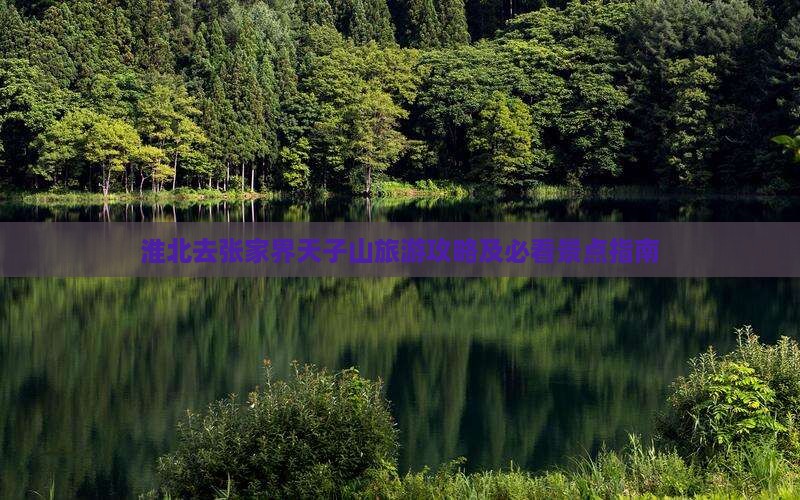 淮北去张家界天子山旅游