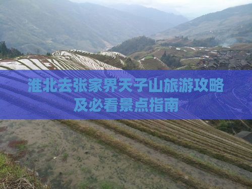 淮北去张家界天子山旅游