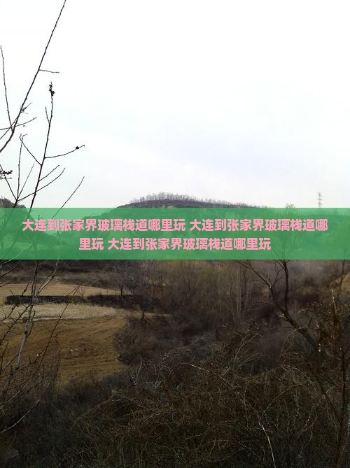 大连到张家界玻璃栈道哪里玩
