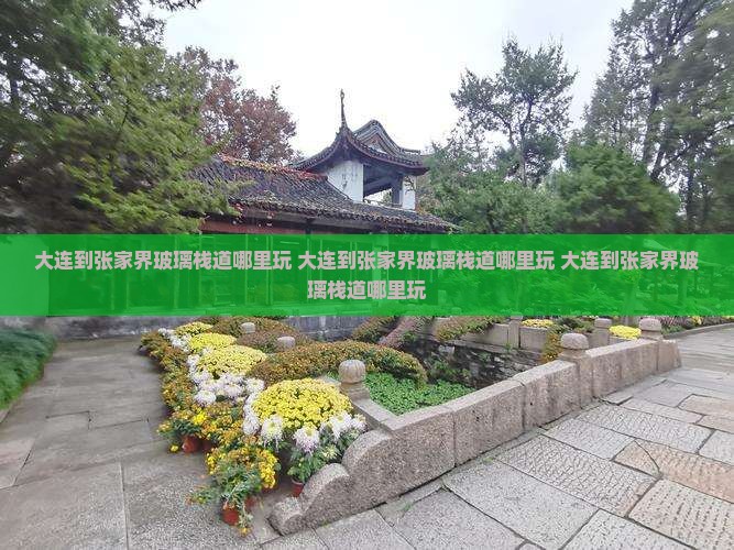 大连到张家界玻璃栈道哪里玩