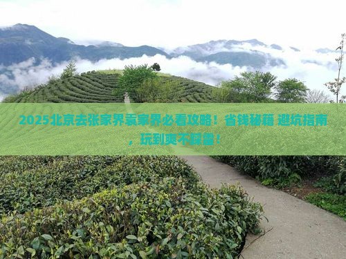 北京去张家界袁家界旅行社