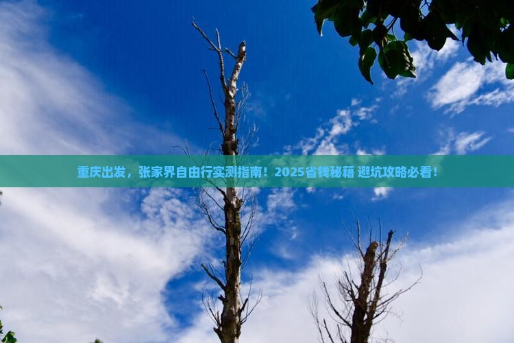 重庆到张家界自由行