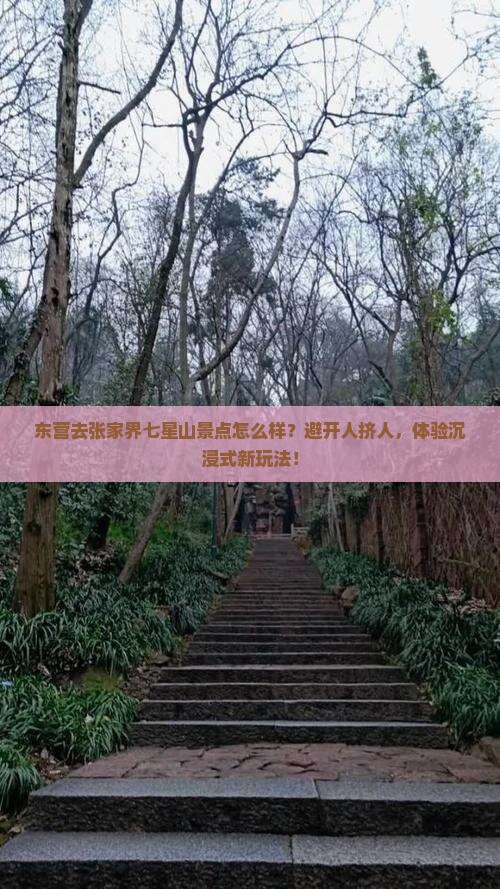 东营去张家界七星山景点