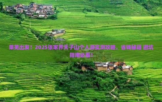 莱芜去张家界天子山个人游