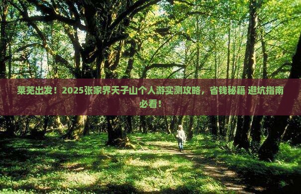 莱芜去张家界天子山个人游
