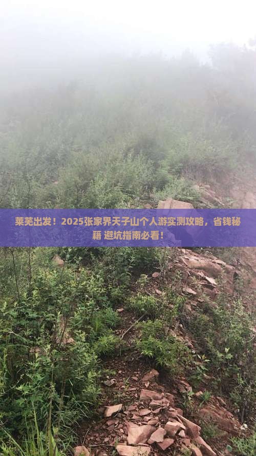莱芜去张家界天子山个人游