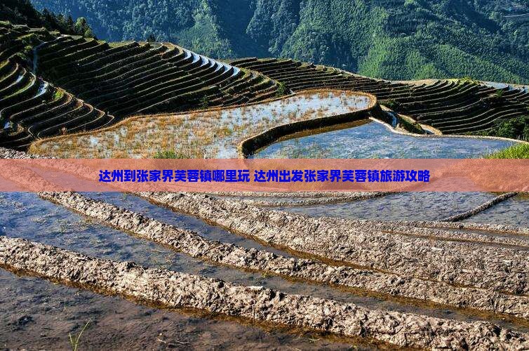 达州到张家界芙蓉镇哪里玩