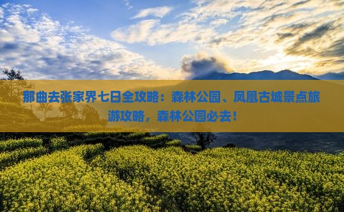 那曲去张家界袁家界七日游