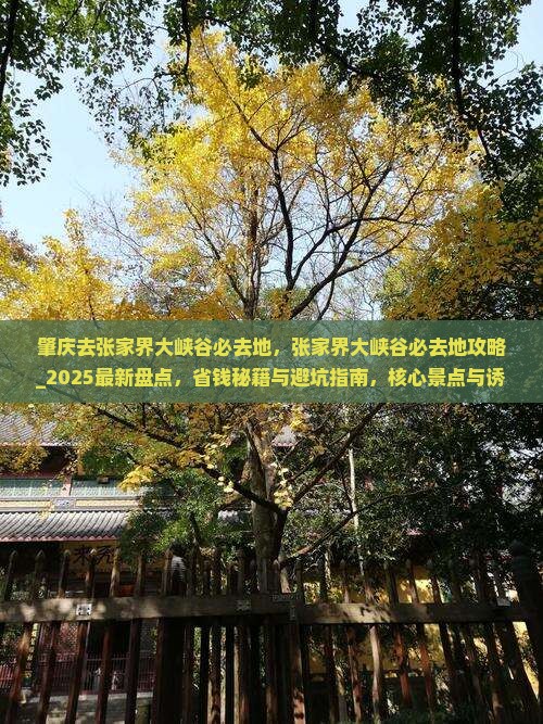 肇庆去张家界大峡谷必去地